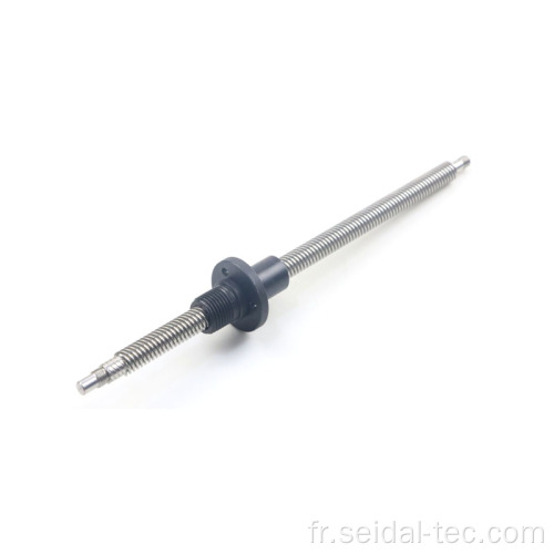 Diamètre de 10 mm de diamètre 10mm TR10X10